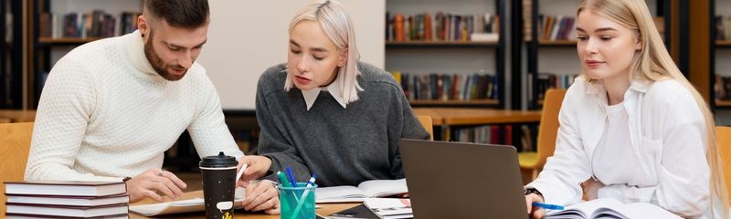 Microdegree Bachelor